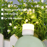 Usb Led Lamp Night Light Mini Portable For Pc And Laptop (5 Pcs Mix Color)